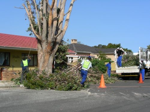 Disa Str - Hermanus - 025_s